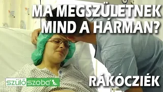 Ma megszületnek a hármas ikrek?- RákócziFamília 5 | KandászMamik | 90