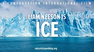 Nature Is Speaking: Liam Neeson is Ice -大自然在說話: 里安納遜聲演「冰」| 保護國際基金會 (CI)