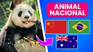 Adivina el PAÍS por el ANIMAL NACIONAL ✅ | Test de Animales y de Cultura General 🦅🌎🐨