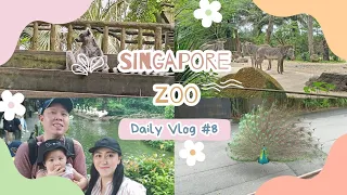 SINGAPORE ZOO TOUR 2023! NEWLY OPENED KIDZ WORLD