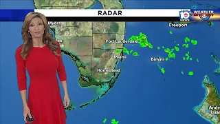 Local 10 Morning Forecast 03-11-2020