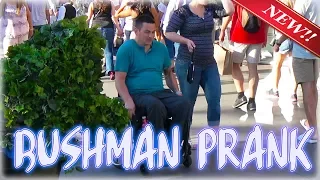FUNNY BUSHMAN PRANK - S05E40-  Funny Video - Ryan Lewis