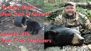 Archery hunting Black Bear in Ontario Canada with Bear Trak Outfitters Dan Gibson