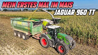 Das erste Mal im Mais | Jaguar 960 TerraTrac |