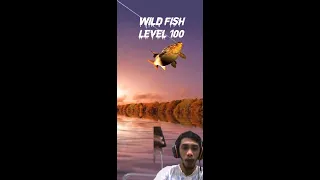 All Wild Fish Fishing Hook Level 1-100 #Shorts