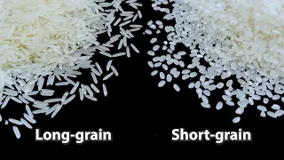 Explained: Korean Rice #Koreanrice #shortgrain #stickyrice #whiterice #cookedrice #steamedrice