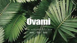 Afrobeat Instrumental 2023 Burna boy & J hus Type Beat "Ovami"