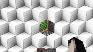 Minecraft but nothing is as it seems