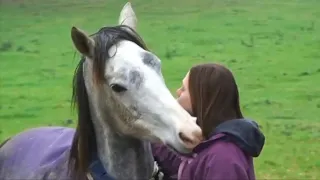 Лошадь воссоединяется с хозяйкой через 3 недели – при виде ее она не может сдержать своих чувств