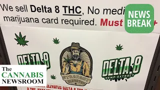 New York Bans Hemp-Drived Synthetic Cannabinoids, Including Delta-8 THC