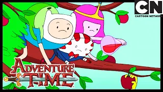 СКРЫТЬ УШЕЛ НЕПРАВИЛЬНО | Время приключений | ADVENTURE TIME Cartoon Network