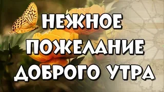 Я скажу тебе "доброе утро".. Нежное и красивое пожелание