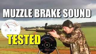 Muzzle Brake Noise?