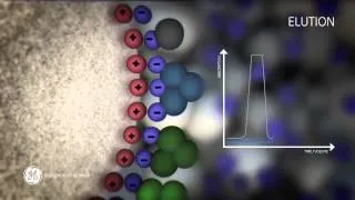 Principles of Ion exchange chromatography