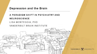 Depression and the Brain: A Paradigm Shift in Psychiatry and Neuroscience