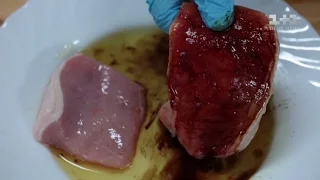 Как выглядит мясо с антибиотиками: шокирующий эксперимент