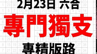 2月23日 上期中１６ ２９ ３４ ３６ ３９ ４２ ４９ 六合彩 專精版路 專門獨支 香港六合彩版路號碼預測 【六合彩財神爺】