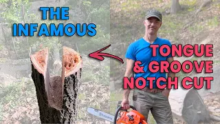 Tongue & Groove Tree Felling: The DIY Technique