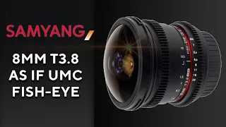 Samyang 8mm T3.8 AS IF UMC Fish eye CS II VDSLR