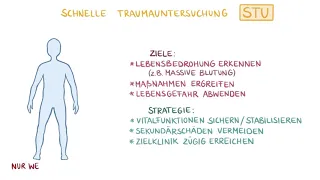 Die schnelle Traumauntersuchung (STU) - Intro