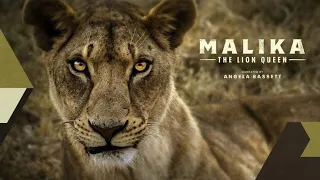 Malika The Lion Queen | Documentary 2024  Nat Geo wild in Hindi E1