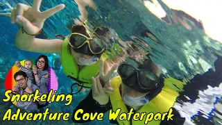 Adventure Cove Waterpark | Snorkeling Rainbow Reef - Sentosa Island Singapore