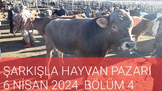 ŞARKIŞLA HAYVAN PAZARI BÜYÜKBAŞ BÖLÜM 4/ 6 NİSAN 2024