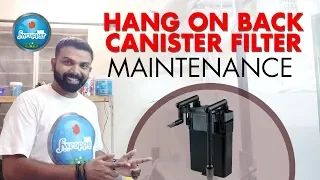 Hang On Back Canister Filter Maintenance || Discus Fish tank Filter || HOB filter