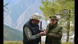 Путин и Шойгу собирают грибы в тайге!