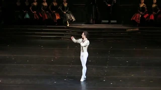 Sergei Polunin   Swan Lake