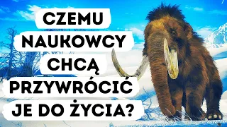 W najbliższej przyszłości być może znów zobaczymy mamuty