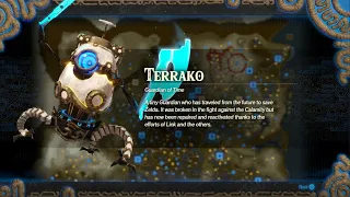 How to Unlock Terrako Guardian of Time as a Playable Character in Hyrule Warriors: Age of Calamity