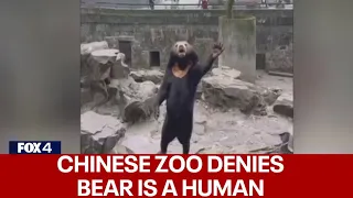 Chinese zoo denies its bear is a human in a costume