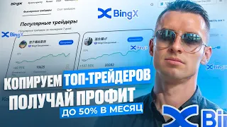 BingX КОПИТРЕЙДИНГ до 50% в месяц | Инструкция к подключению копитрейдинг