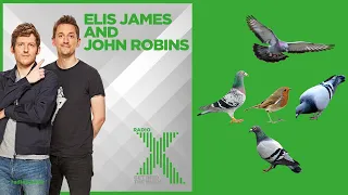 A Robins Amongst The Pigeons The Complete Collection - Elis James and John Robins (Radio X)