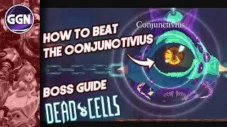 How to beat the Conjunctivius | Boss Guide | Dead Cells