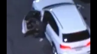 Police Chase Stolen Audi : Bails Before Vehicle Stops Smacks Door !!