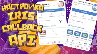 🔥Как настроить iris CallBack API🔥 на телефоне или компьютере, ПК. Очень лёгкая инструкция👌