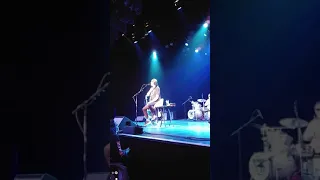 Todd Rundgren Concert 2018 - Can We Still Be Friends?