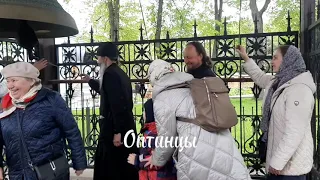 Пасхальный звон в Оптиной ( могут поучаствовать все желающие😊)