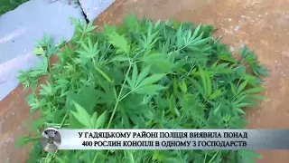 Вилучення наркотичних засобів на Полтавщині