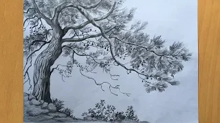 Tree drawing in pencil | draw and shade a tree step by step | pencil sketch