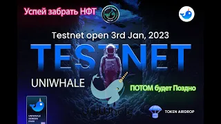 Успей получить POAP NFT тестнет UNIWHALE  |  Пошаговая инструкция | Бесплатная криптовалюта