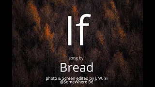 속삭이는자작나무숲가는길 | 추억의 달콤한 팝송 | 이프, 만약에 | IF,  song by Bread | Legend Pop |