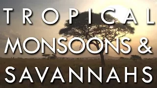 The Tropical Monsoon and Tropical Savannah Climates - Secrets of World Climate #2