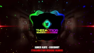 James Kaye - Coconut (Theemotion Reggae Remix)