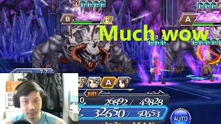 Them Brvs and Buffs - Entropy Tier 12 [DFFOO]