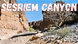 SESRIEM CANYON NAMIB-NAUKLUFT PARK NAMIBIA SOUTHERN AFRICA