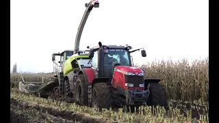 Maïs 2023 | Claas Jaguar 960 TT stuck in the mud | MF met lier vast | Dezeure's vast | Verreth | Mud