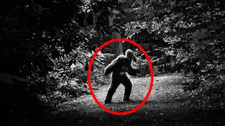 4 HORRIFYING TRUE SCARY STORIES - DOGMAN, ALIENS - What Lurks Above